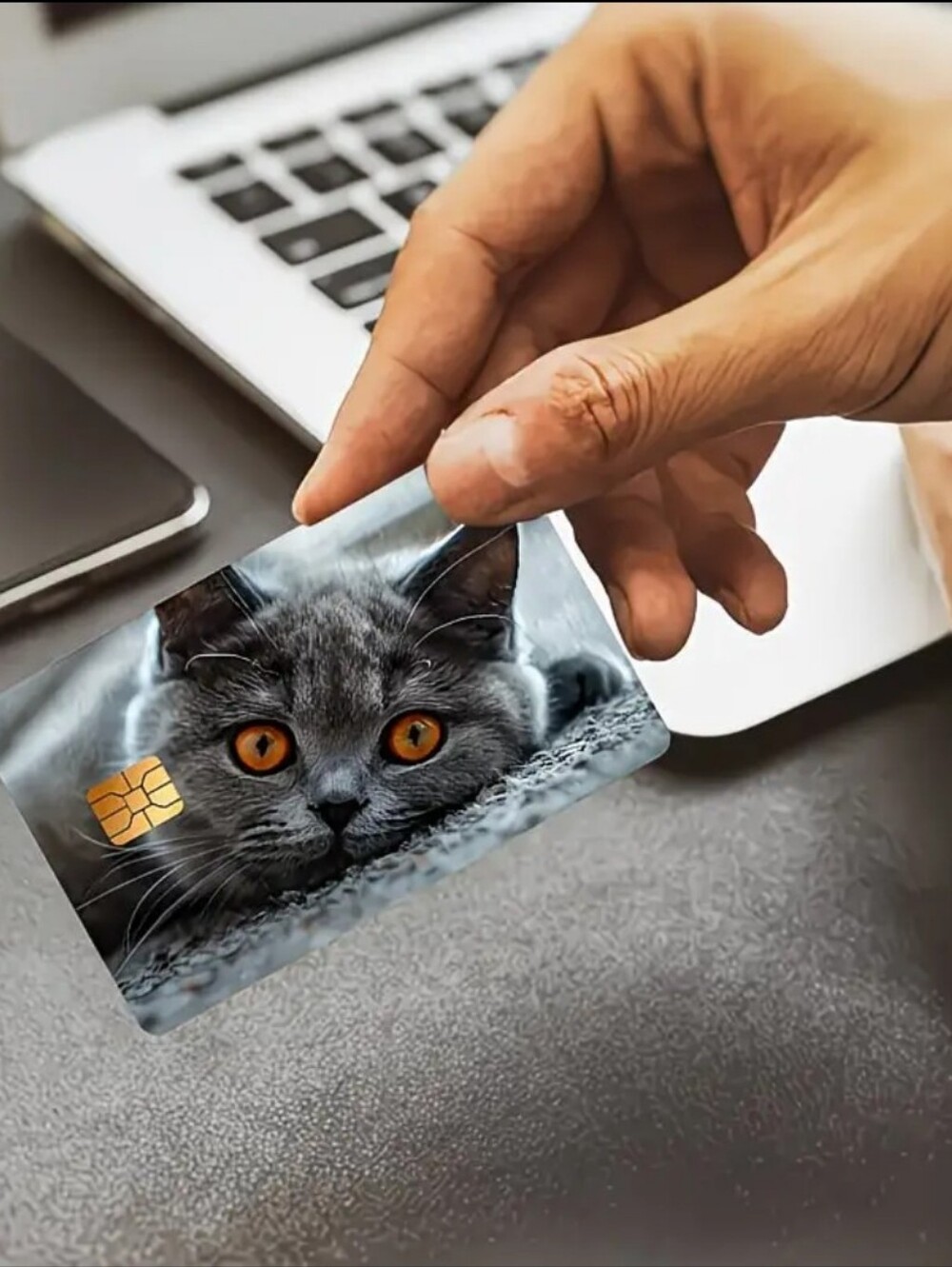 Cute Cat Front Bsnkcard Debit Credit Cover-Up Skin